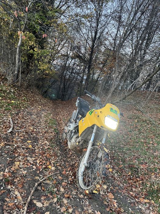 Kawasaki kle de padure-câmp