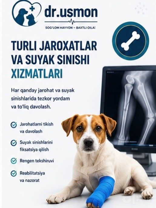 Sifatli veterinariya xizmati 24/7