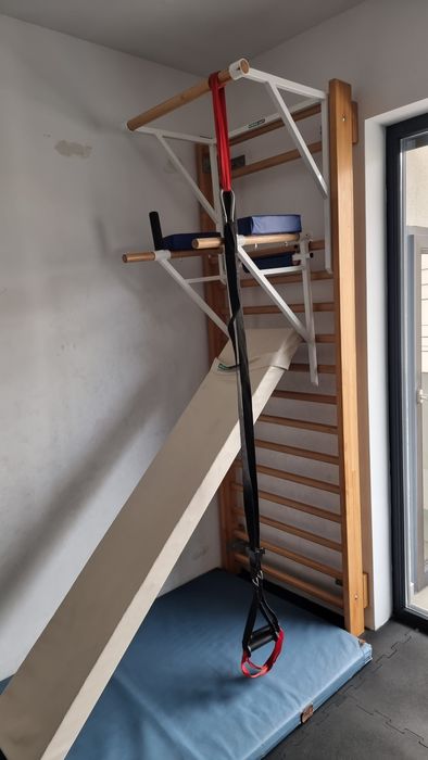 Se vinde spalierul cu accesoriile din imagine fara paralele de triceps