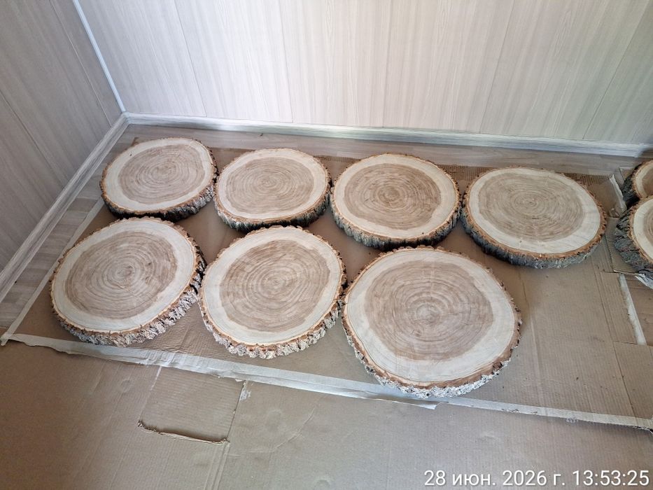 Продам чурбак карагача