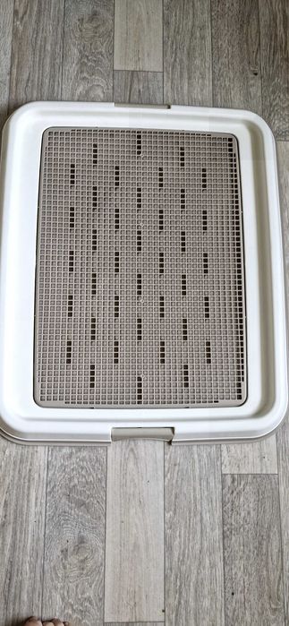 Продам новый лоток для собак 65 * 50