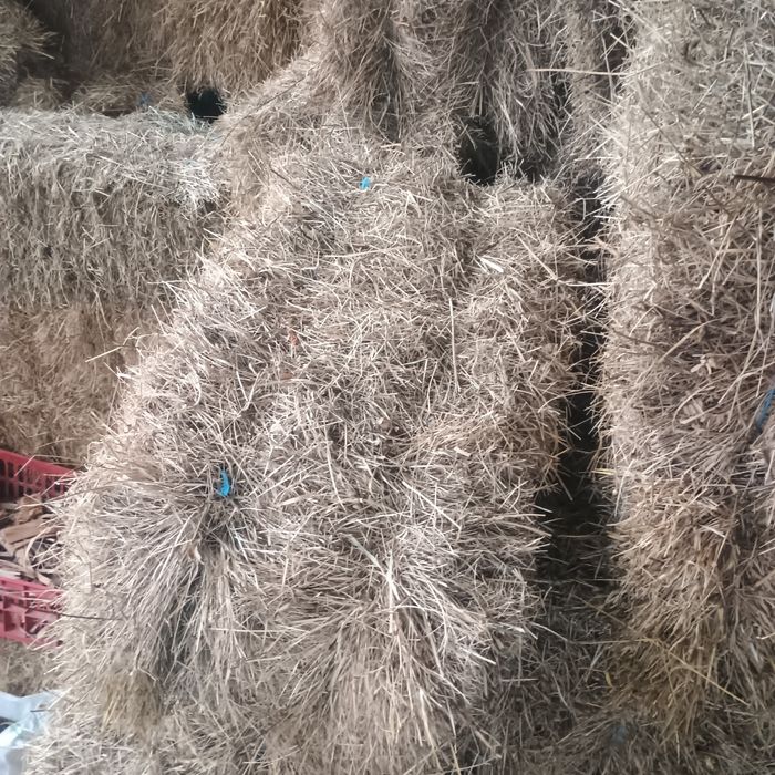 Vând baloți fân de anul trecut.