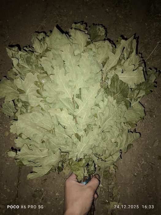 Продаются банные принадлежности