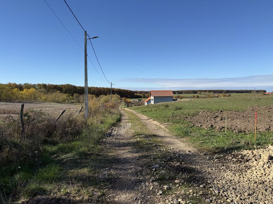 Parcele de vanzare in Pausa/Nojorid