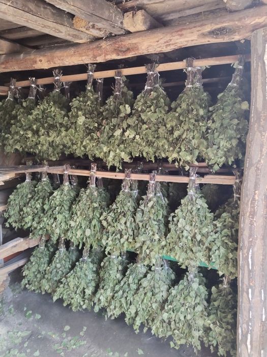 Продам Веники Березовые