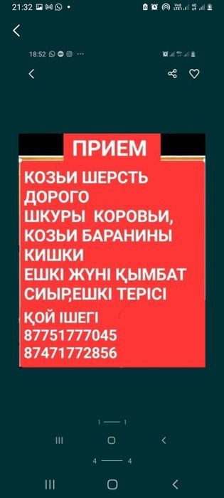 Принемаем шерсть