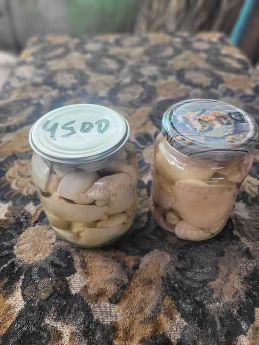 Грибы,маринованные,Синеножка