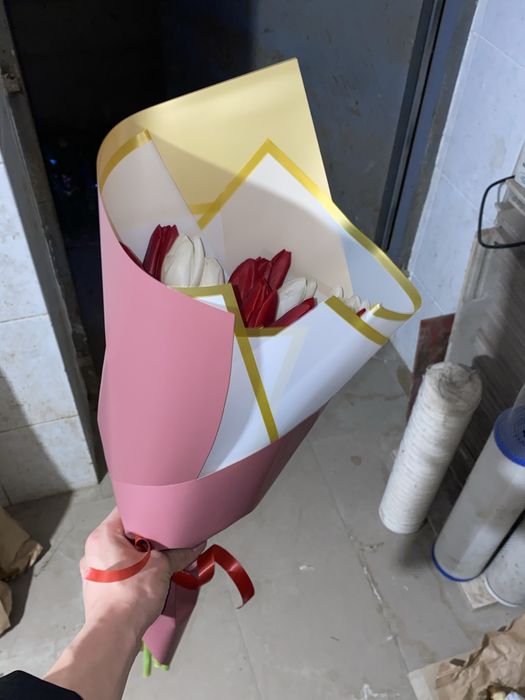 Тюльпаны по 500 тг