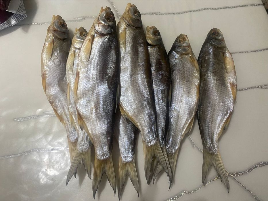 Рыбец балыгы бар