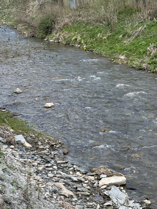 Camping Valea stanii