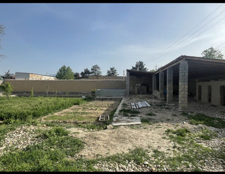 Земля с фруктовыми деревьями