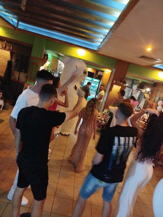 Голяма Бяла Мечка Изненада за Свети Валентин