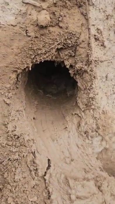 Пракол горизонтальный бурения