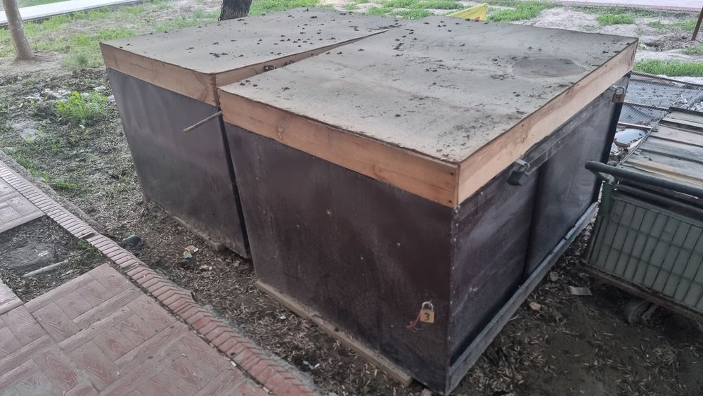 Bozorchiloni chamodoni sotilodi
