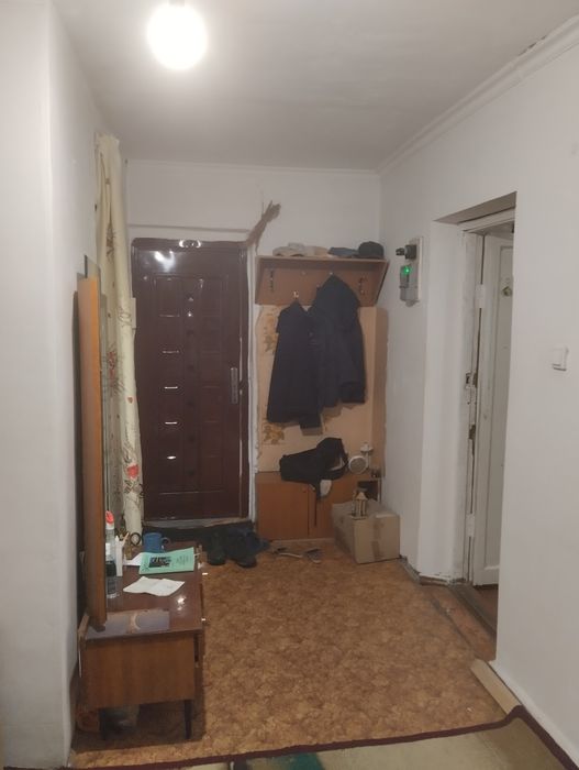 Продам маласимейка московская 18