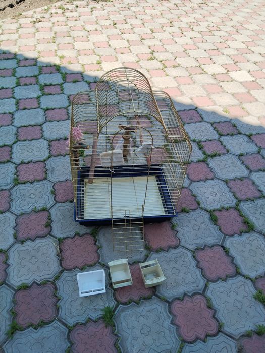 Клетка для попугаев