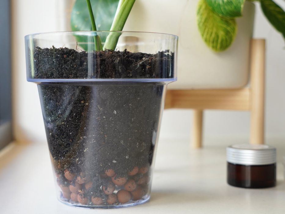 Керамзит за дренаж на саксии