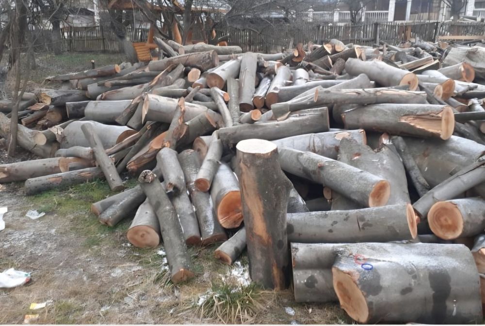 Vand lemne de foc uscate