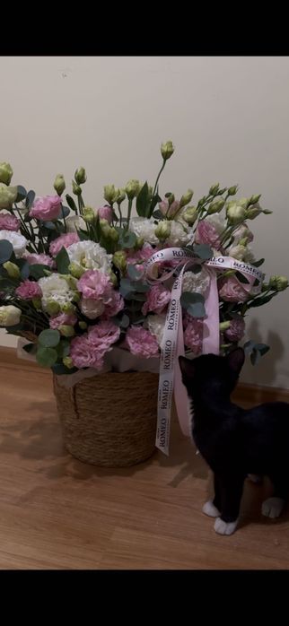 Букет свежие пышные РОМЕО