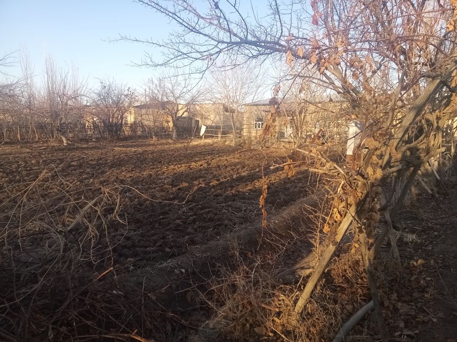 Ŭy satiladi Kegeyli rayoni Shreder awilinda bahasi kelisimli.