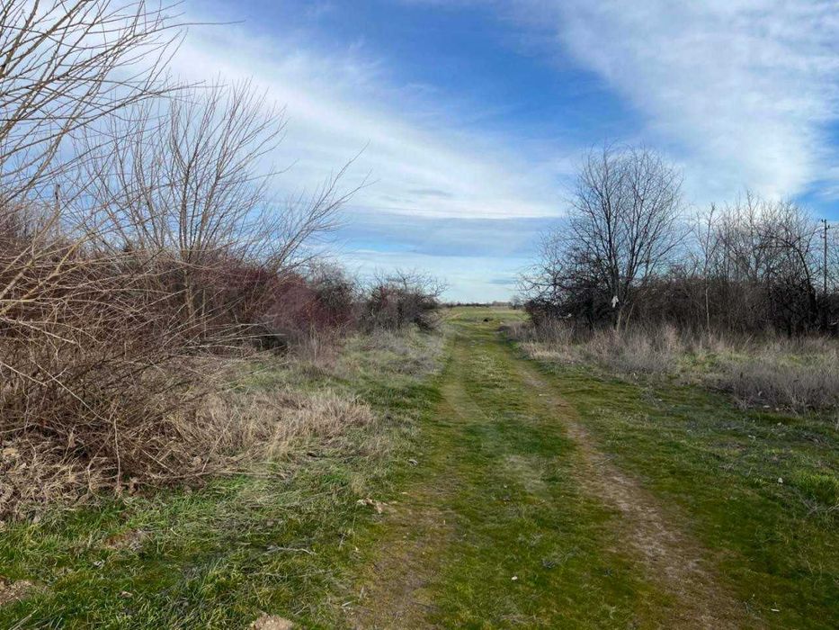 Продава се Парцел в с. Царацово, Област Пловдив - 3076 кв.м за 7 €/кв.м - Снимка #1