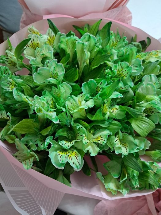 Необычные цветы за 6300