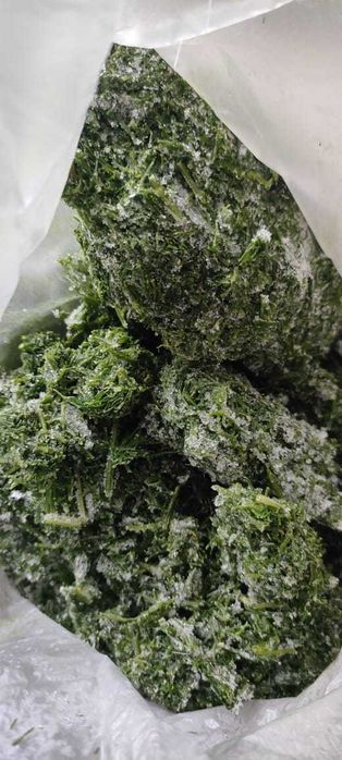 Укроп веник сухой