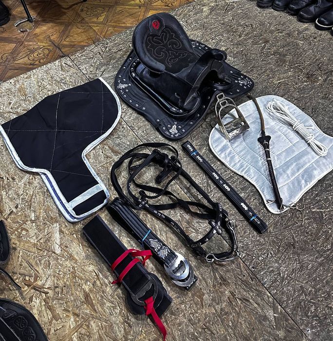 Вольтер, вольер для собаки, ИТ , собака