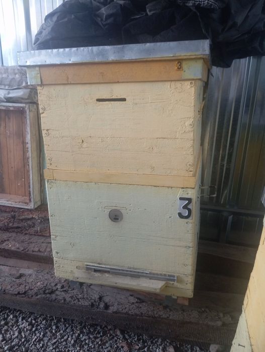 Продам улья системы дадан