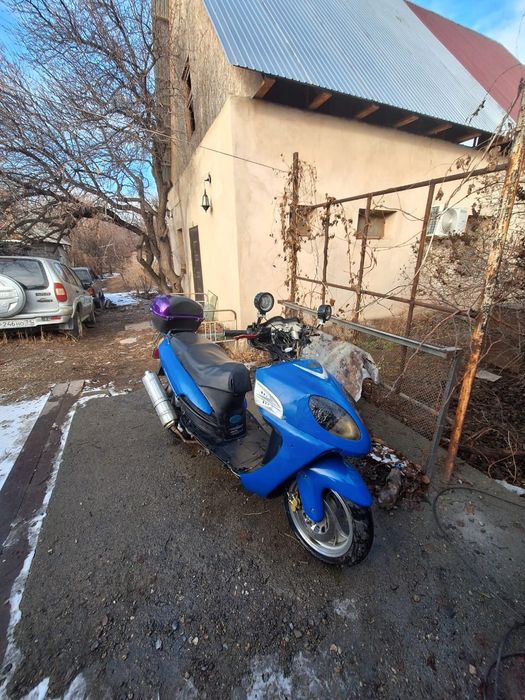 Фриеро ратон 2011