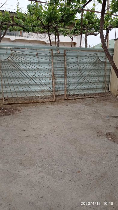 Darvoza maxsus zudlik