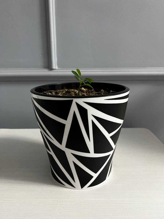 Горшок для расстений (декор)