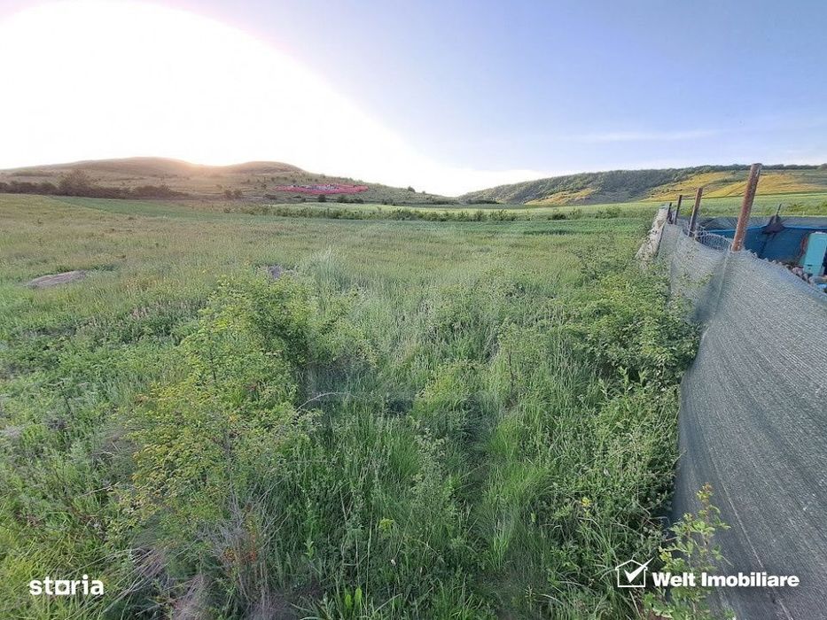 Teren 2000 mp centura Donath - Floresti