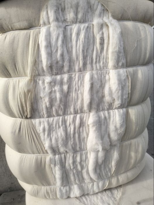 Макта тайында 50кг