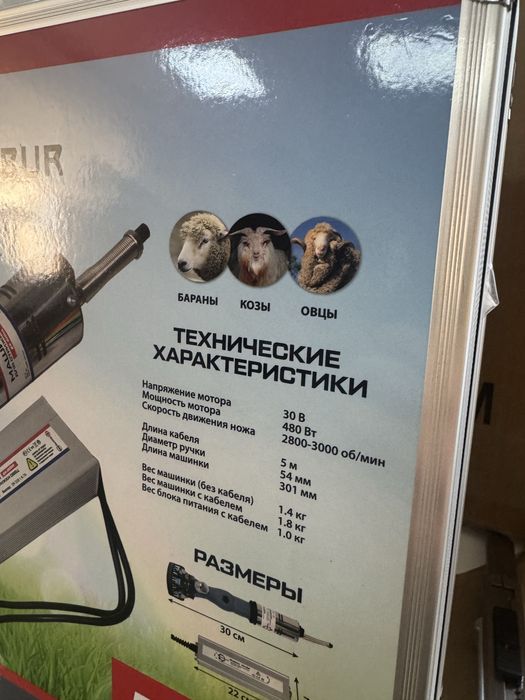 Барана стрижка Овец