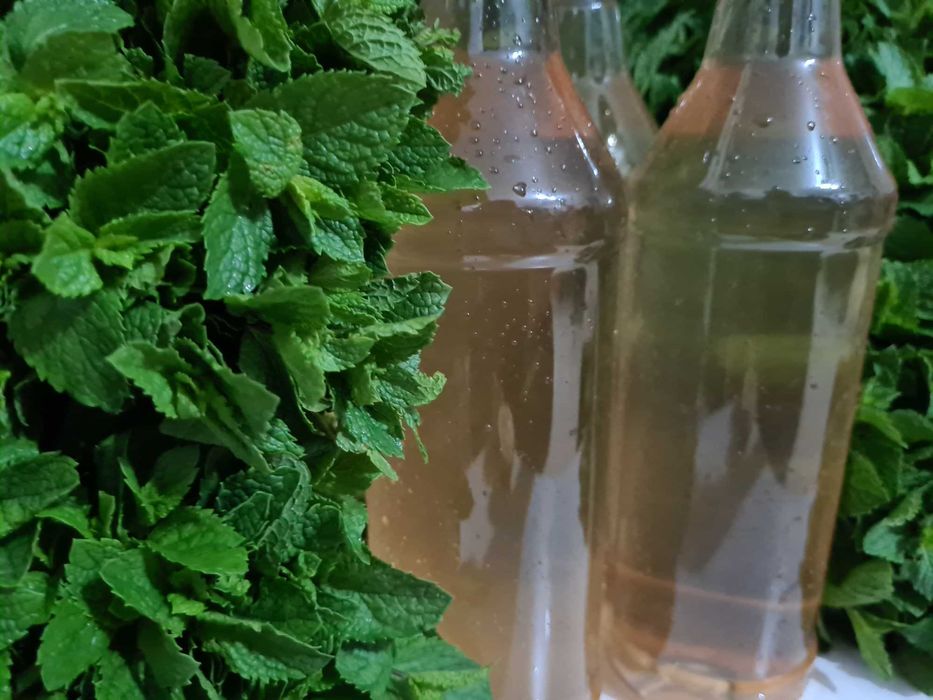 Sirop de mentă olandeză - fresh, bar, cocktail-uri