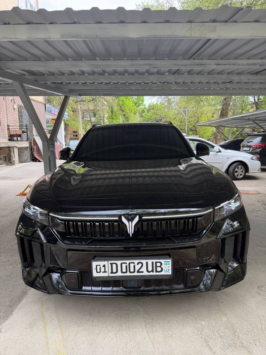 Voyah full pozitsiya