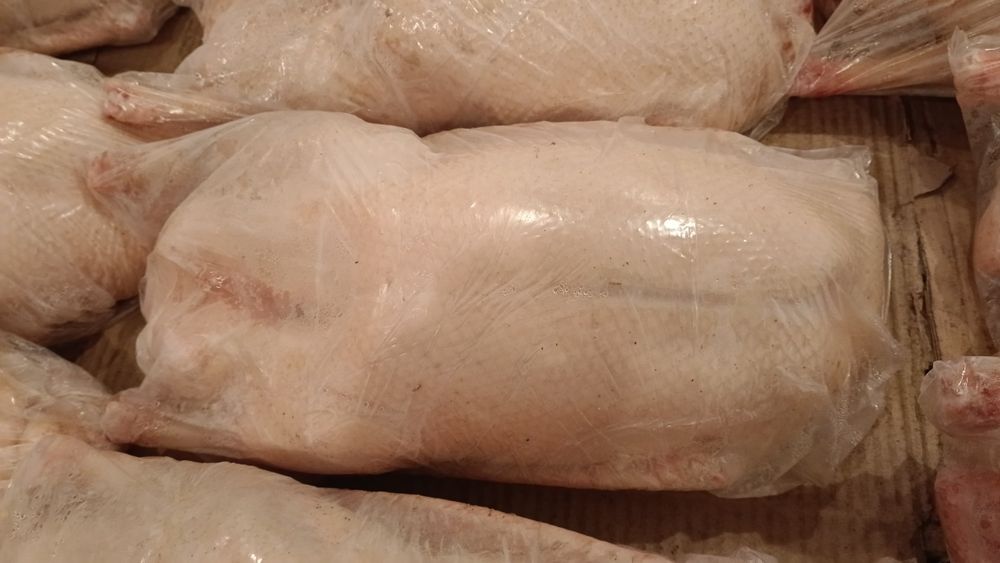 Продам гусей тушками