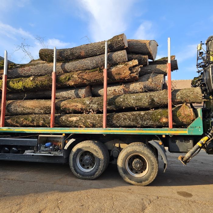 Vand bustean Gorun(S)