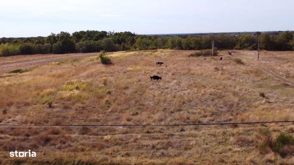 Teren Mosoaia cu potential de dezvoltare