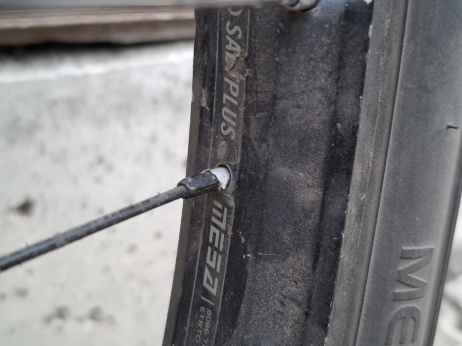 Bmx кастом wtp trust