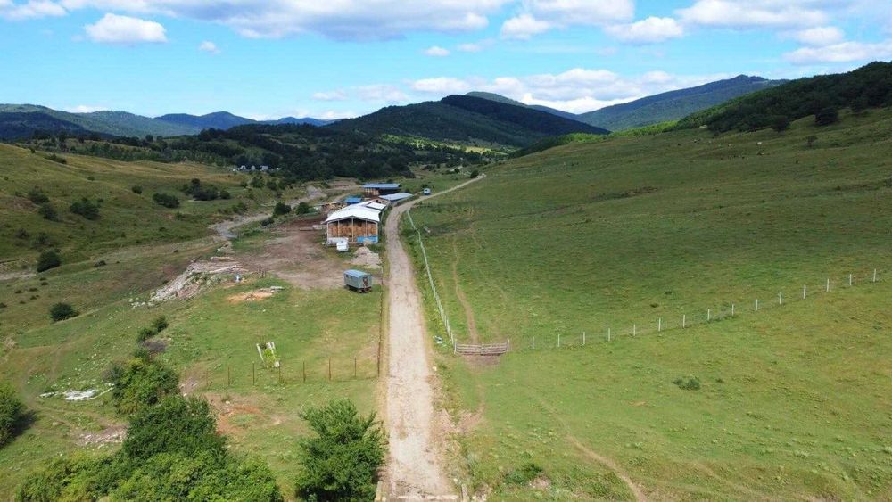 Fermă zootehnică / stână pentru oi și vaci – teren 10.000 mp - Măneciu-Pământeni