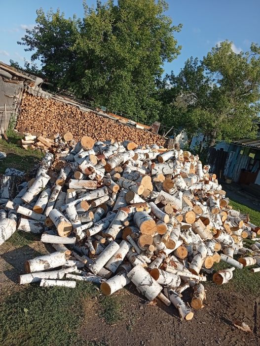 Продажа дров берёза