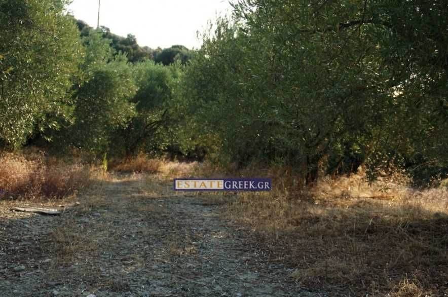 Продава се Парцел в Пловдив, Филипово - 9069 кв.м за 37 €/кв.м - Снимка #10