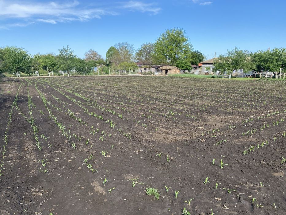 Продава се Парцел в с. Дъбовик, Област Добрич - 1 кв.м за 2091 €/кв.м - Снимка #3