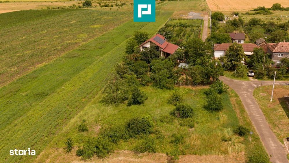 Teren intravilan de 602mp în Cicir, Vladimirescu