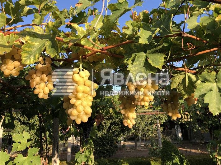 Продава се Къща в с. Видно, Област Добрич - 150 кв.м за 400 €/кв.м - Снимка #11