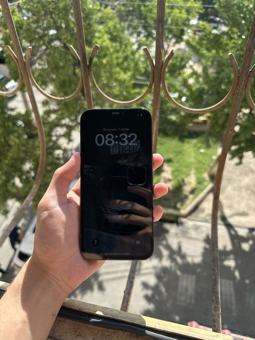 iPhone 12 pro max