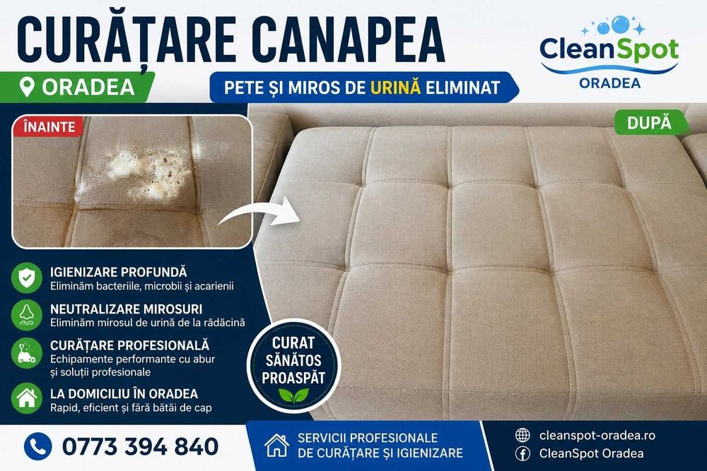 Spalatorie Curatare Canapele Saltele Tapiterie Mochete Fotolii Oradea