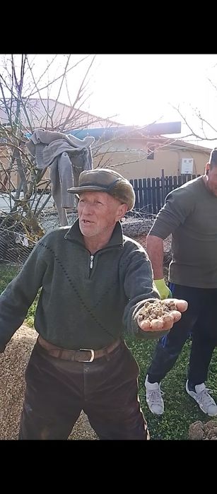 Foraje puturi apa